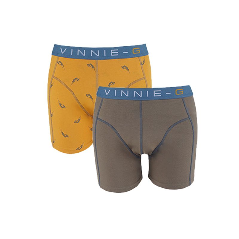 Vinnie-G Boys boxershorts Wakeboard Grey - Print 2-Pack-140/146